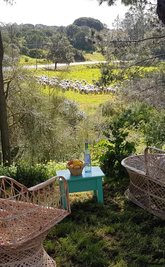 דירות קארבואירו Boheme Valdareina, Piscine Chauffee, Benagil-Carvoeiro מראה חיצוני תמונה