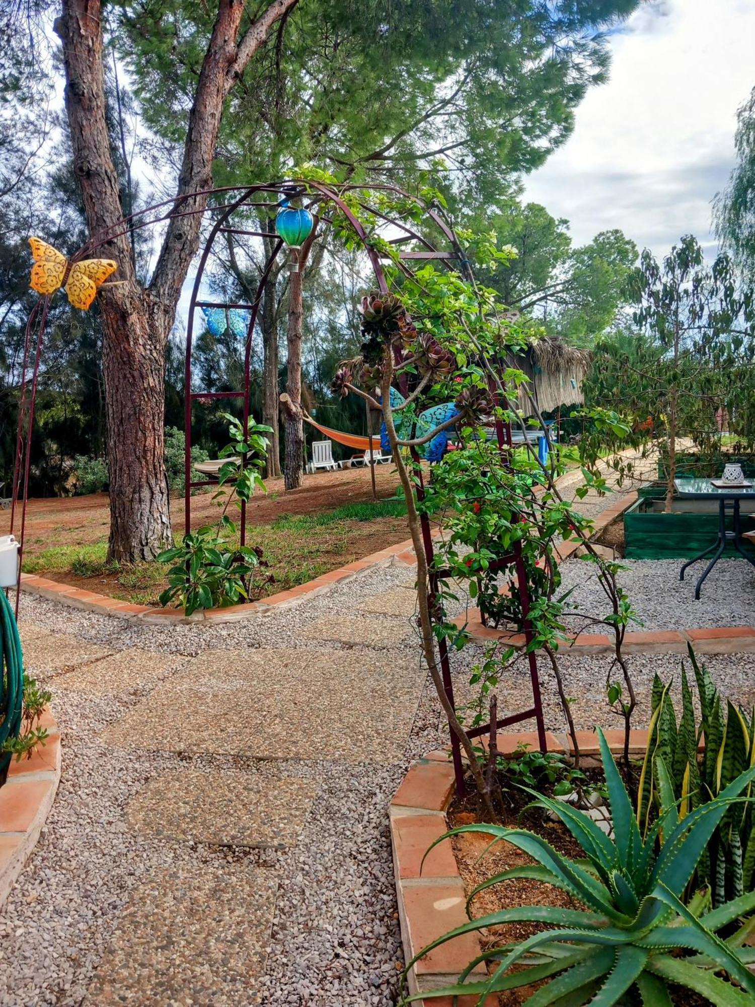 דירות קארבואירו Boheme Valdareina, Piscine Chauffee, Benagil-Carvoeiro מראה חיצוני תמונה